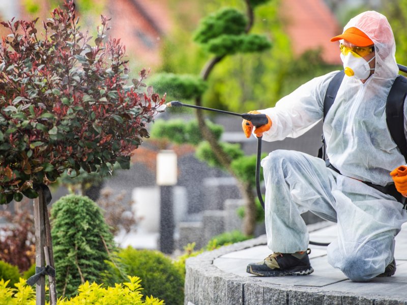 İspir Haşere İlaçlama