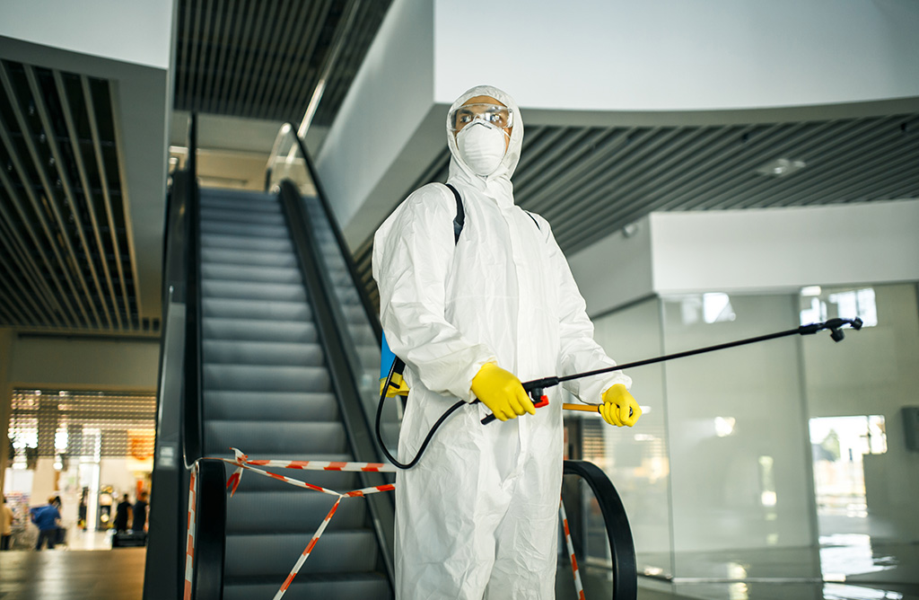 İspir Haşere İlaçlama